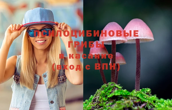 трава Абинск