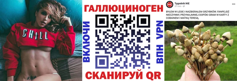 Псилоцибиновые грибы GOLDEN TEACHER  где найти наркотики  Злынка 